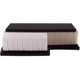 Purchase Top-Quality PRONTO FILTERS - PA8225 - Engine Air Filter pa2