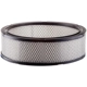 Purchase Top-Quality PRONTO FILTERS - PA91 - Air Filter pa4