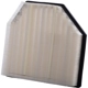 Purchase Top-Quality PRONTO FILTERS - PA99069 - Air Filter pa2