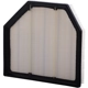 Purchase Top-Quality PRONTO FILTERS - PA99069 - Air Filter pa4