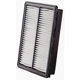 Purchase Top-Quality PRONTO FILTERS - PA99096 - Air Filter pa1