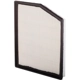 Purchase Top-Quality PRONTO FILTERS - PA99113 - Air Filter pa4