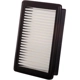Purchase Top-Quality PRONTO FILTERS - PA99168 - Air Filter pa3