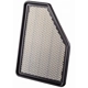 Purchase Top-Quality PRONTO FILTERS - PA99180 - Air Filter pa1