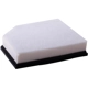 Purchase Top-Quality PRONTO FILTERS - PA99193 - Air Filter pa1