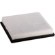 Purchase Top-Quality PRONTO FILTERS - PA99228 - Engine Air Filter pa2