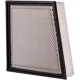 Purchase Top-Quality PRONTO FILTERS - PA99239 - Engine Air Filter pa2