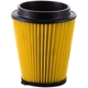 Purchase Top-Quality PRONTO FILTERS - PA99277 - Engine Air Filter pa3