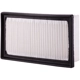 Purchase Top-Quality PRONTO FILTERS - PA99485 - Air Filter pa2