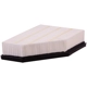 Purchase Top-Quality PRONTO FILTERS - PA99498 - Air Filter pa2