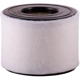 Purchase Top-Quality PRONTO FILTERS - PA99507 - Air Filter pa2