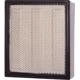 Purchase Top-Quality PRONTO FILTERS - PA99532 - Air Filter pa5