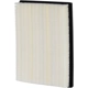 Purchase Top-Quality PRONTO FILTERS - PA99541 - Air Filter pa1