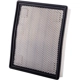 Purchase Top-Quality PRONTO FILTERS - PA9965 - Air Filter pa3