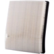 Purchase Top-Quality PRONTO FILTERS - PA9965 - Air Filter pa4