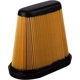 Purchase Top-Quality PRONTO FILTERS - PA9967 - Air Filter pa2