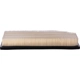 Purchase Top-Quality Air Filter by PRONTO FILTERS - PA99866 pa1