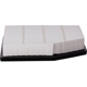 Purchase Top-Quality Air Filter by PRONTO FILTERS - PA99866 pa2