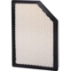 Purchase Top-Quality Air Filter by PRONTO FILTERS - PA99866 pa3