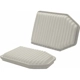 Purchase Top-Quality Air Filter by PROTEC AUTOPARTS - 460 pa1