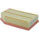 Purchase Top-Quality PROTEC AUTOPARTS - PXA10841 - Air Filter pa1