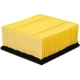 Purchase Top-Quality PROTEC AUTOPARTS - PXA46930 - Air Filter pa1
