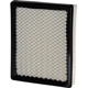 Purchase Top-Quality PUREZONE OIL & AIR FILTERS - 9-42389 - Air Filter pa6