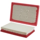 Purchase Top-Quality PUREZONE OIL & AIR FILTERS - 9-46134 - Air Filter pa3