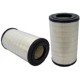 Purchase Top-Quality Air Filter by WIX - 42029 pa5