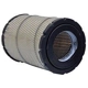 Purchase Top-Quality Air Filter by WIX - 42033 pa6