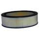 Purchase Top-Quality WIX - 42096 - Air Filter pa5