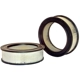 Purchase Top-Quality Air Filter by WIX - 42111 pa4