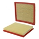 Purchase Top-Quality WIX - 42190 - Air Filter pa8