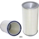 Purchase Top-Quality Air Filter by WIX - 42226 pa1