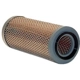 Purchase Top-Quality Air Filter by WIX - 42505 pa6