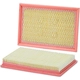 Purchase Top-Quality WIX - 42800 - Air Filter pa2