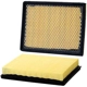 Purchase Top-Quality WIX - 42821 - Air Filter pa3