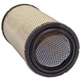 Purchase Top-Quality WIX - 42824 - Air Filter pa4