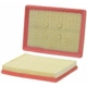 Purchase Top-Quality WIX - 42843 - Air Filter pa1