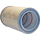 Purchase Top-Quality Air Filter by WIX - 42961 pa5