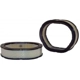 Purchase Top-Quality Air Filter by WIX - 46084 pa6
