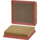 Purchase Top-Quality Air Filter by WIX - 46132 pa2