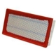 Purchase Top-Quality Air Filter by WIX - 46133 pa4