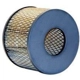 Purchase Top-Quality Air Filter by WIX - 46181 pa3