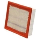 Purchase Top-Quality WIX - 46253 - Air Filter pa3