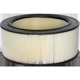 Purchase Top-Quality WIX - 46255 - Air Filter pa6