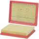 Purchase Top-Quality WIX - 46302 - Air Filter pa3