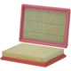 Purchase Top-Quality Air Filter by WIX - 46428 pa3