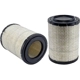 Purchase Top-Quality WIX - 46433P - Air Filter pa3