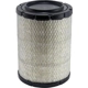 Purchase Top-Quality WIX - 46433P - Air Filter pa5